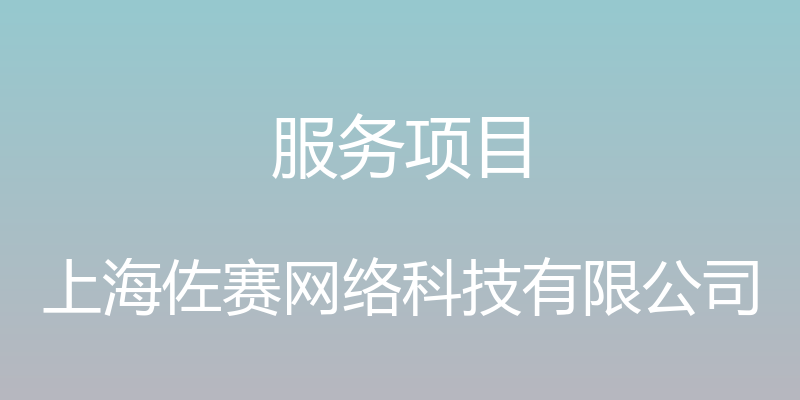 服务项目 - 上海佐赛网络科技有限公司