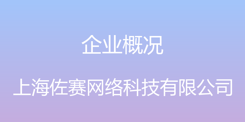 企业概况 - 上海佐赛网络科技有限公司